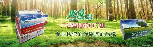 南宁市盛成纸品加工厂 匠心纸品加工，赋能区域产业